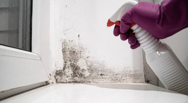  Canastota, NY Water damage restoration Pros